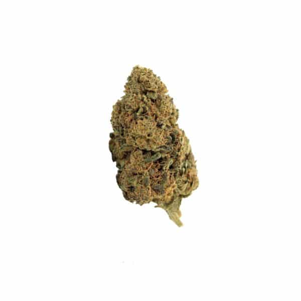 Fleur de CBD Pineapple Express – Outdoor